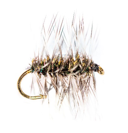 Griffiths Gnat