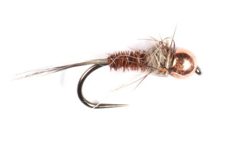 Nymphs